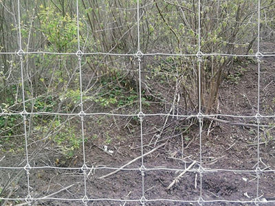 廣東省鹿網(wǎng)圍欄