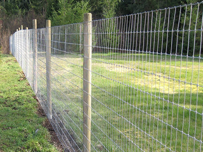 廣東省草原圍欄網(wǎng)