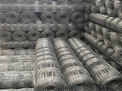 廣東省牛欄網(wǎng)